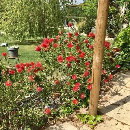La Vignarelle Callas
